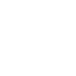 White wrench silhouette icon