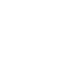 White checkmark in star shape