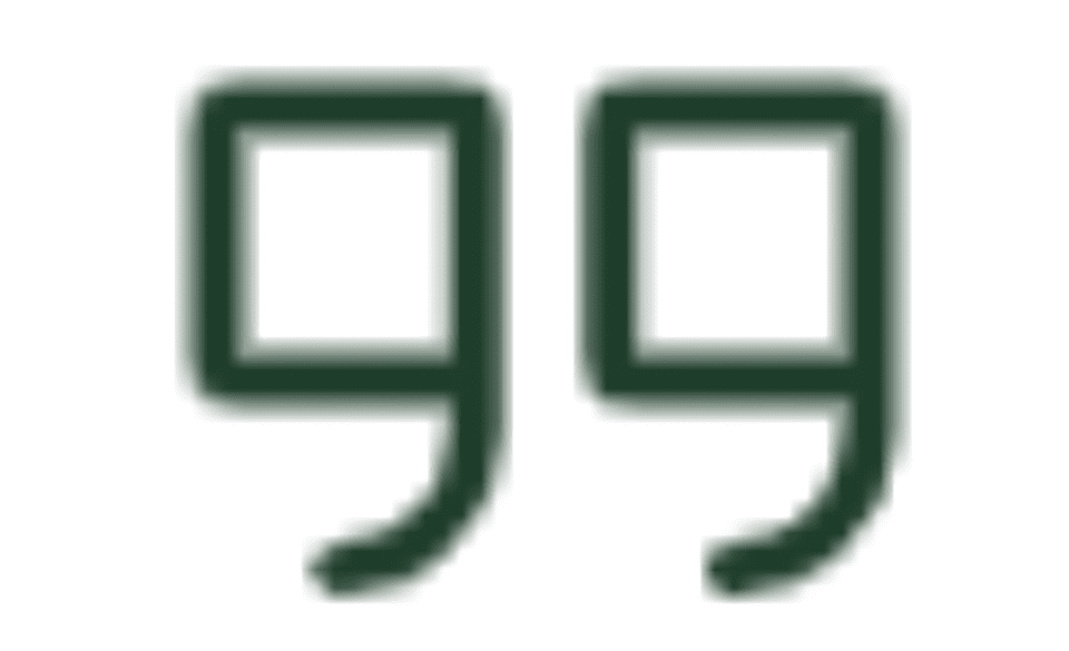 Double quotation marks icon