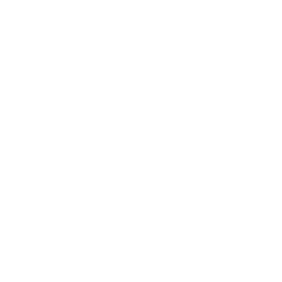 Drink icon with citrus garnish