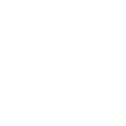 Shopping bag with maple leaf icon