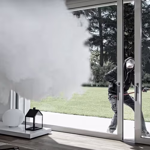 Smoke security system deters intruder